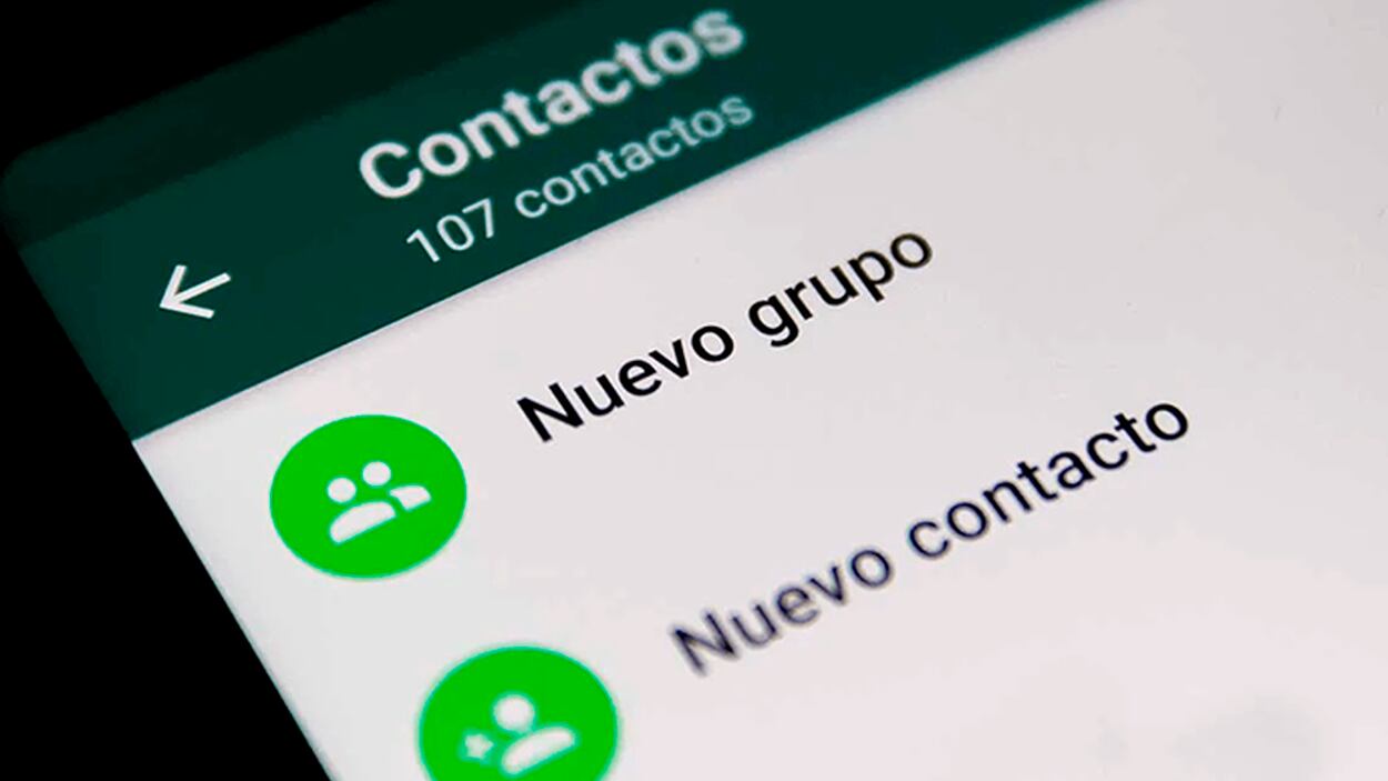 ALERTAN por grupos de WhatsApp con material violento que agregan a niños en  Córdoba | ElDoce