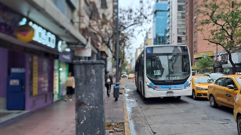 . Foto: Juan Pablo Lavisse / El Doce.