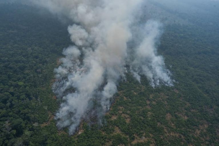 13 bomberos cordobeses viajarán a combatir los incendios en el Amazonas