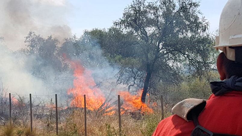 185 bomberos luchan contra el fuego.