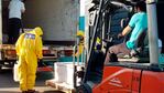 220 mil dosis entre ambos componentes fueron las que llegaron al país. 
