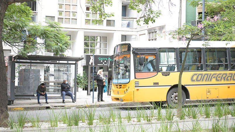 Cambian las paradas de 24 líneas de colectivos sobre bulevar Chacabuco: cómo quedan desde el domingo