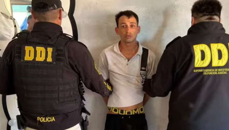 8 detenidos por robar caballos de polo, faenarlos y vender su carne