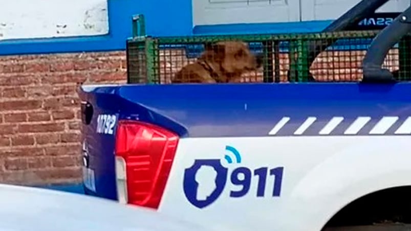 El perro fue retirado por la Policía en Cosquín.