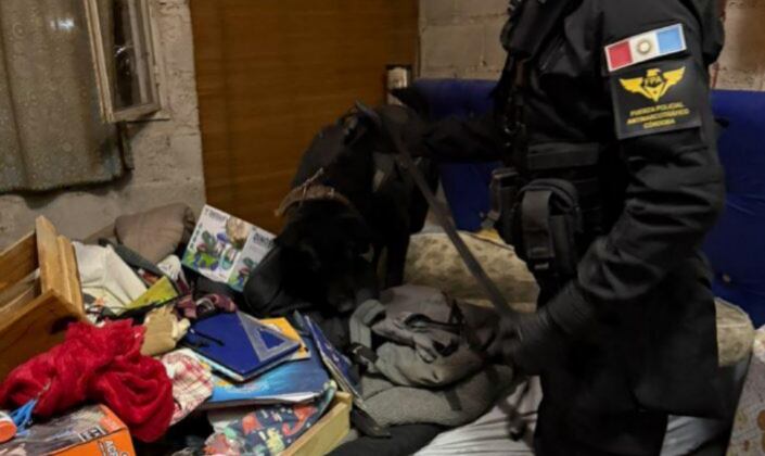 Cocaína, armas y autos: desbarataron una banda narco y hay 14 detenidos en Córdoba