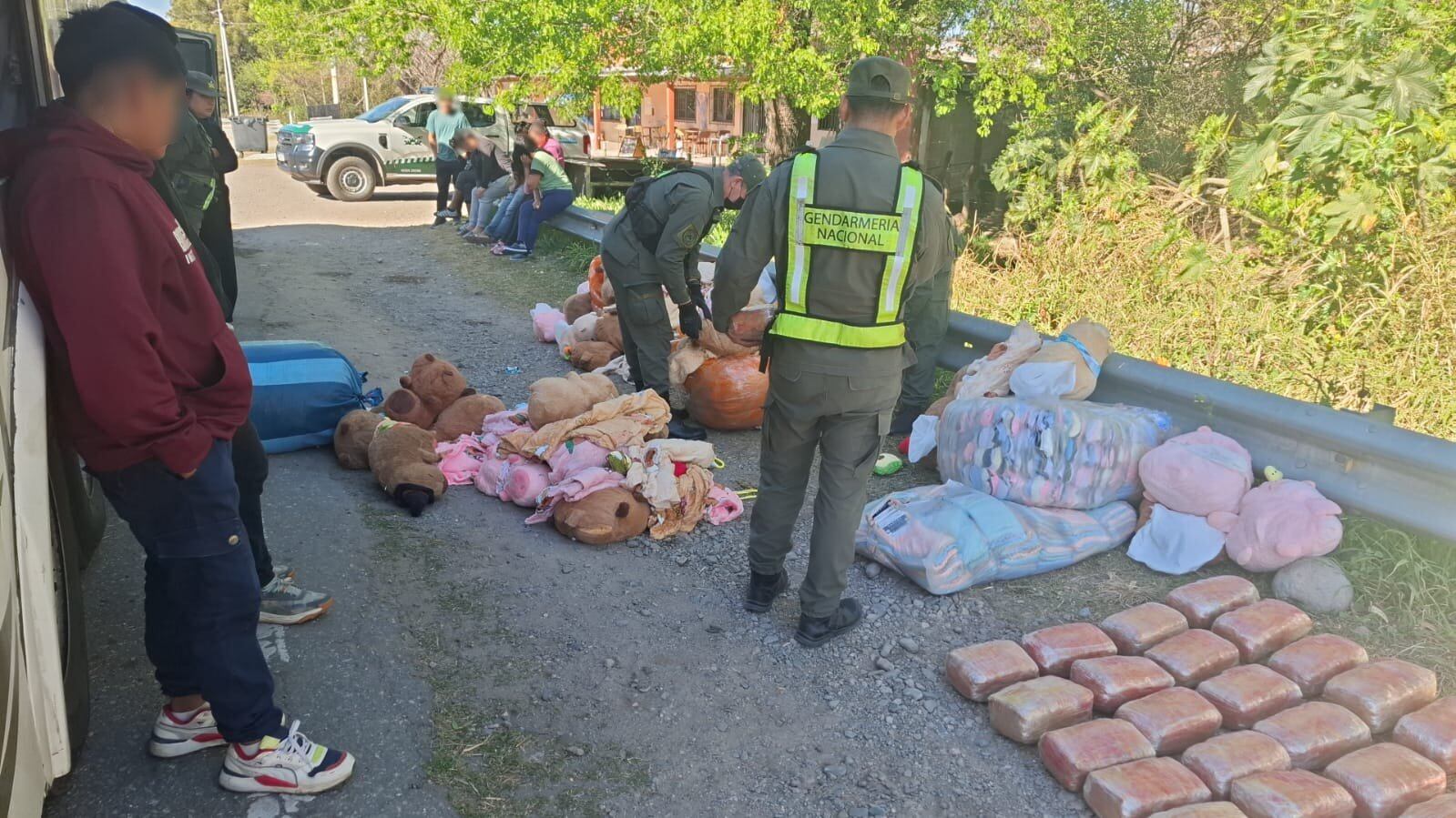 Secuestraron más de 50 kilos de droga.