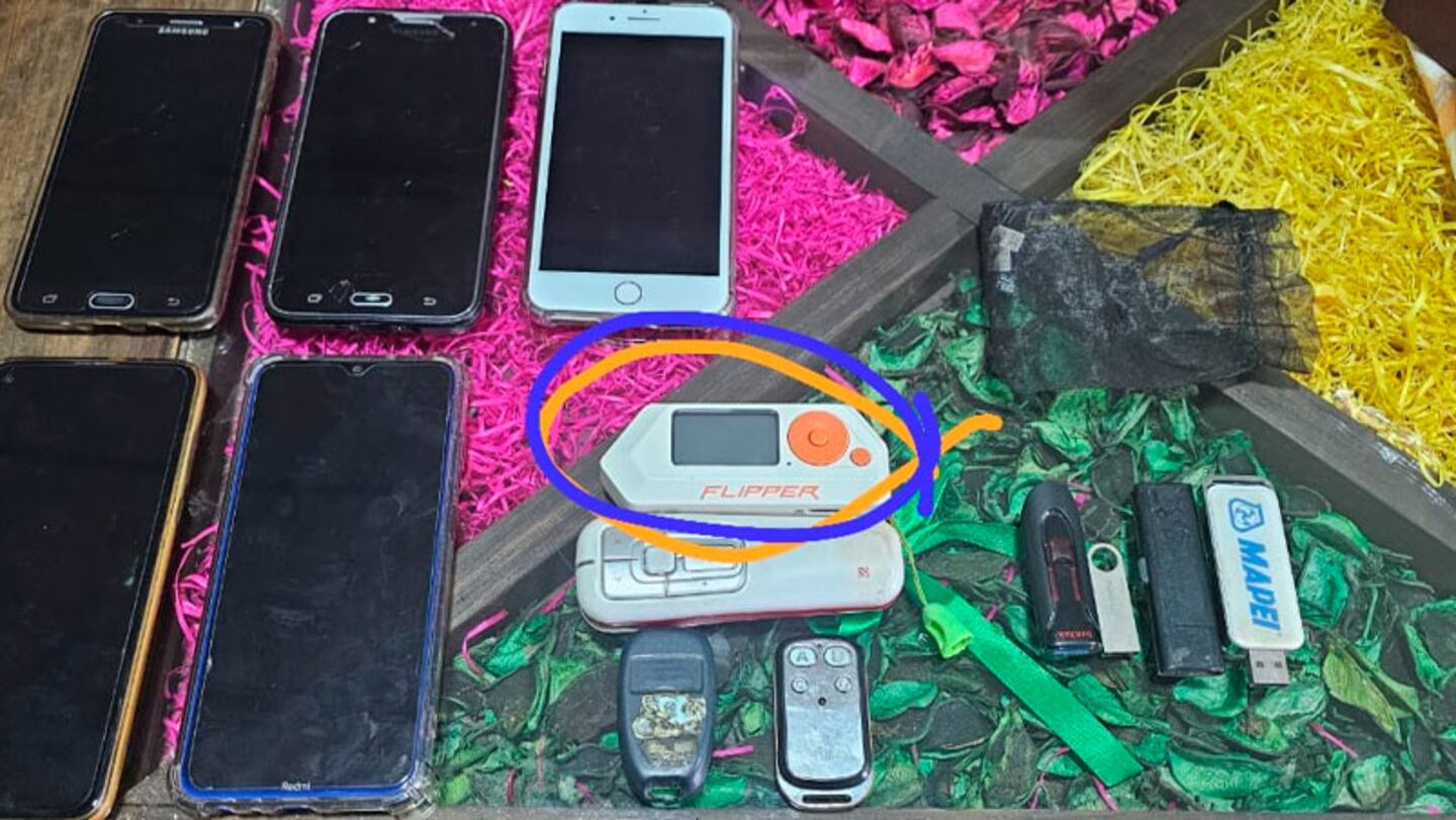 Qué es “Flipper Zero”, el dispositivo que clona tarjetas con chip  secuestrado a una banda en Córdoba
