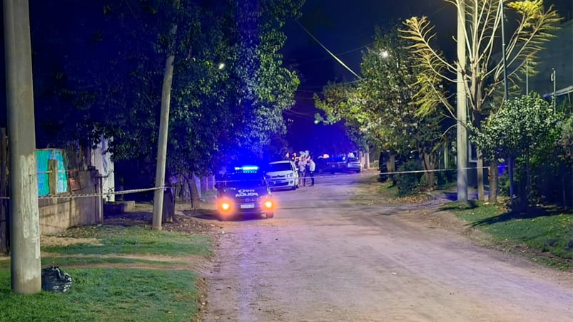 El operativo en el barrio del ataque del pitbull en Villa Allende.