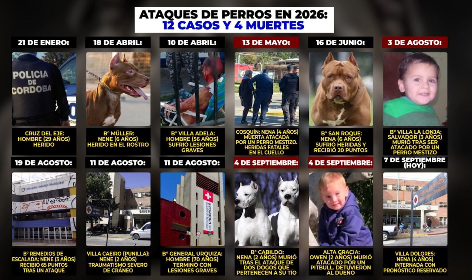Los ataques de perros en lo que va de 2026.