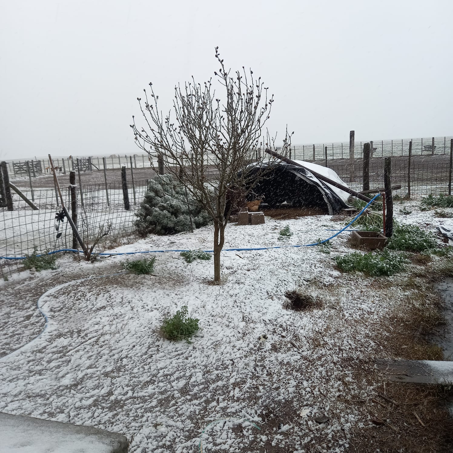 Nieve en Chaján, Córdoba.