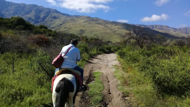 A caballo, Paco va casa por casa.