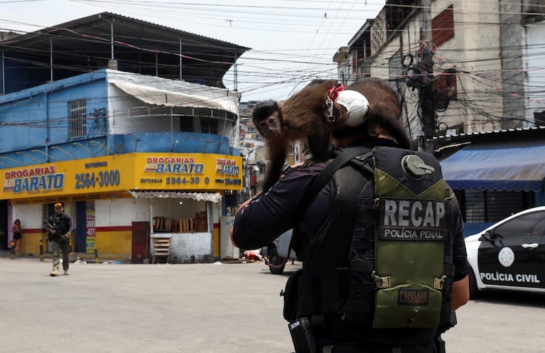 A member of the police walks with a monkey on his shoulder during a police operation against drug trafficking at the favela do Penha, in Rio de Janeiro, Brazil October 28, 2025. REUTERS/Aline Massuca