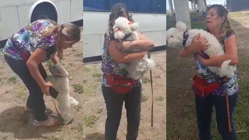 A puros saltos y besos, así fue el reencuentro entre Pequeña y su dueña María Juana.