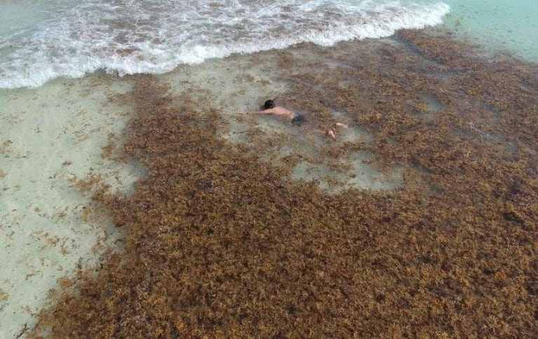 A qué le quiere escapar Manu Ginóbili en sus vacaciones al Caribe