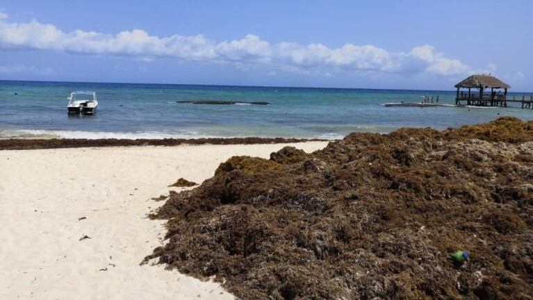 A qué le quiere escapar Manu Ginóbili en sus vacaciones al Caribe