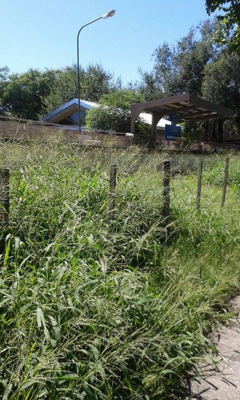 Abandono en Cardeñosa y Padre Claret y laguna cloacal en Barrio Jardín del Pilar