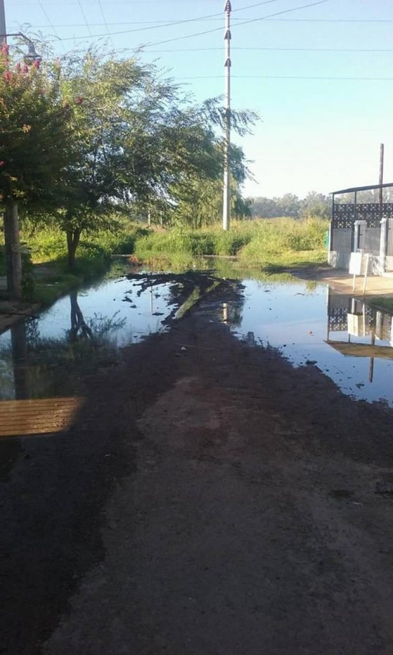 Abandono en Cardeñosa y Padre Claret y laguna cloacal en Barrio Jardín del Pilar