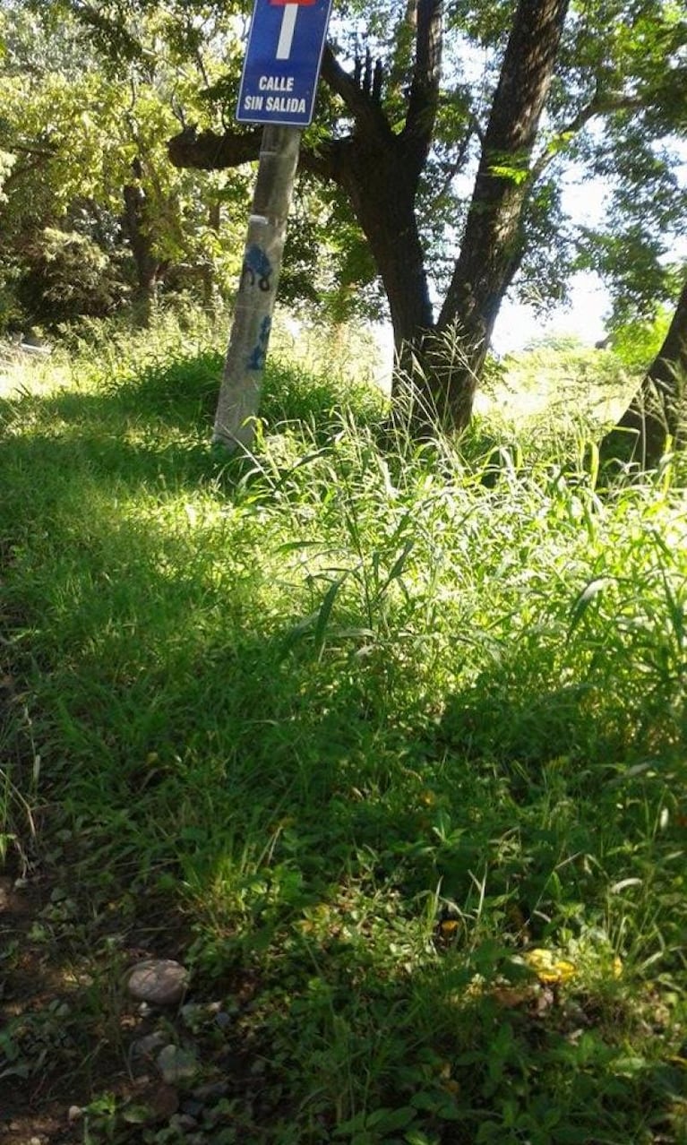 Abandono en Cardeñosa y Padre Claret y laguna cloacal en Barrio Jardín del Pilar