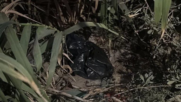 Aberrante: estaban reciclando y encontraron el cuerpo de una beba recién nacida en una bolsa