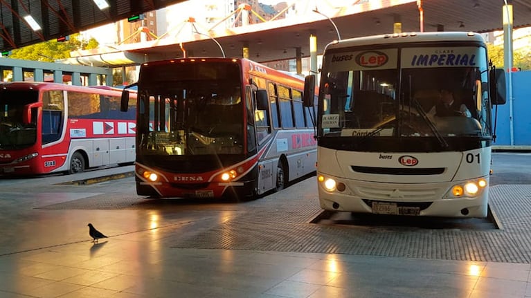 Acuerdo con AOITA: el transporte interurbano no vuelve, pero retomarían servicio los urbanos del interior.