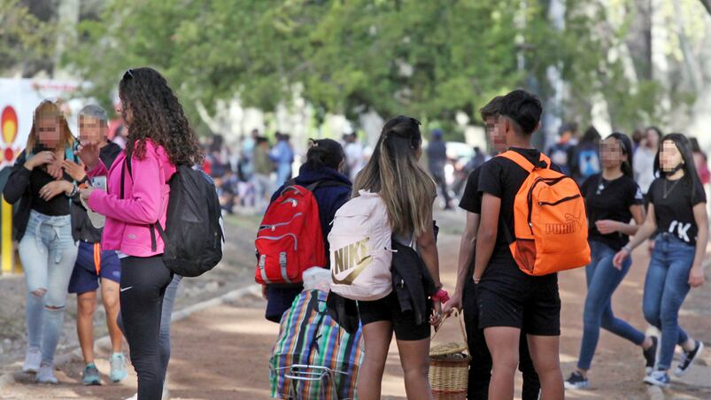 Además, deberán contar con un test diagnóstico.