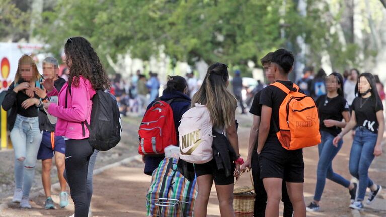 Además, deberán contar con un test diagnóstico.