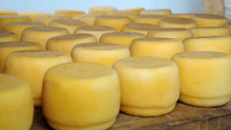 Advierten por un queso contaminado