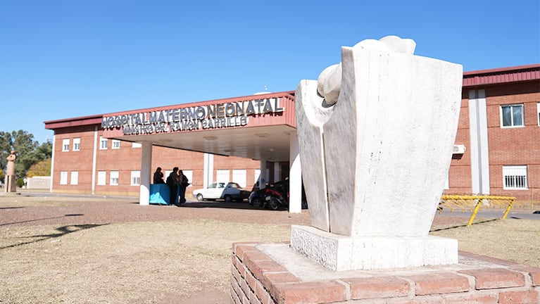 Advierten que la Provincia nunca denunció las muertes en el Hospital Neonatal. Foto: Lucio Casalla/El Doce.