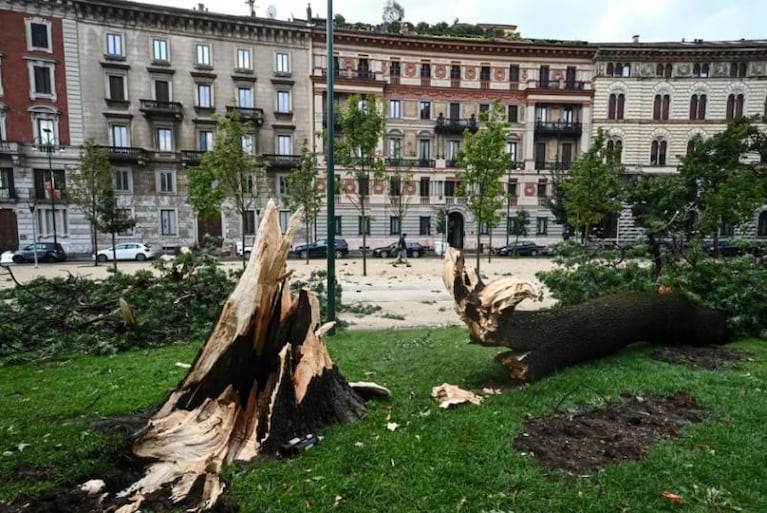 Afirman que cayó el granizo más grande del mundo en Milan: ¿superó al de Córdoba?