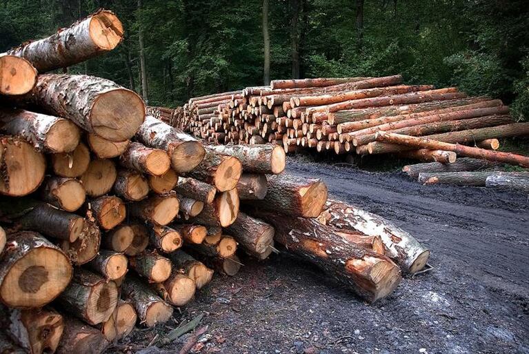 Aguas Cordobesas: conocé cuánto contribuís al medio ambiente sumándote a la factura digital