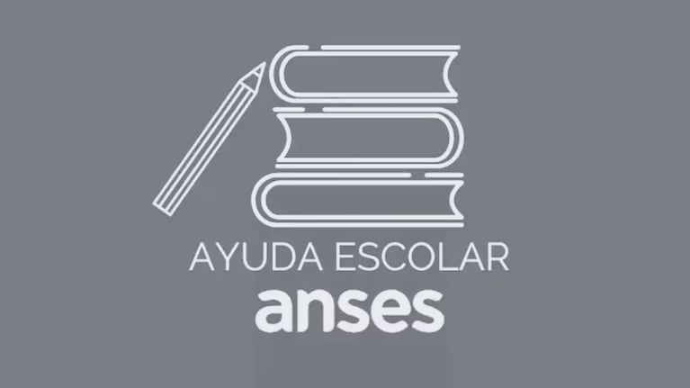 Al beneficio se accede a través de la web de la Anses.