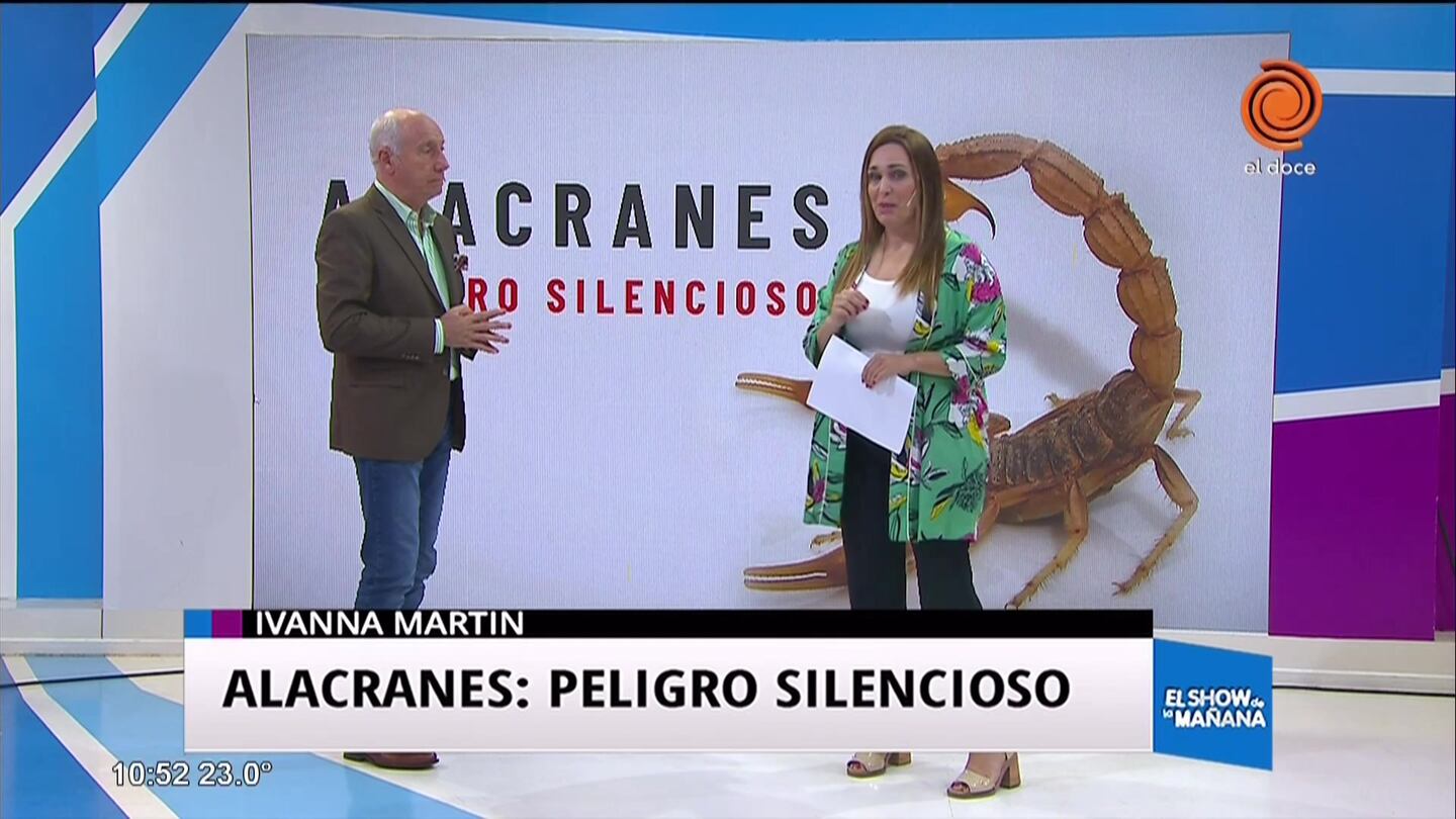 Alacranes: Peligro silencioso