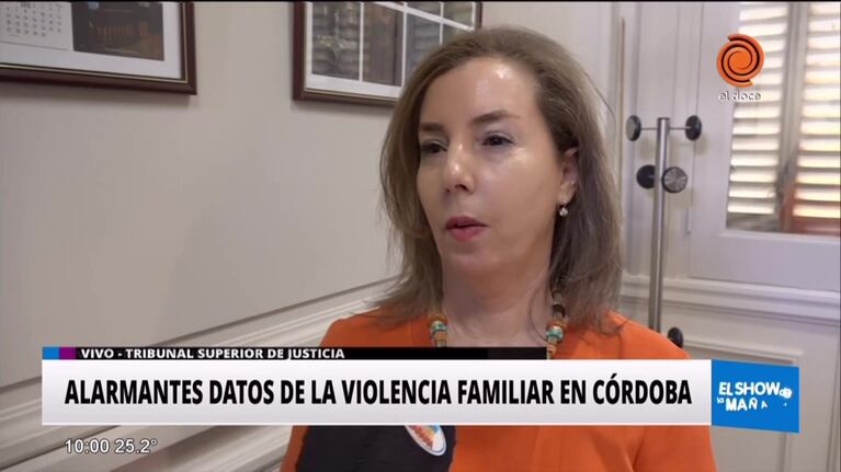 Alarmantes datos de la violencia familiar en Córdoba