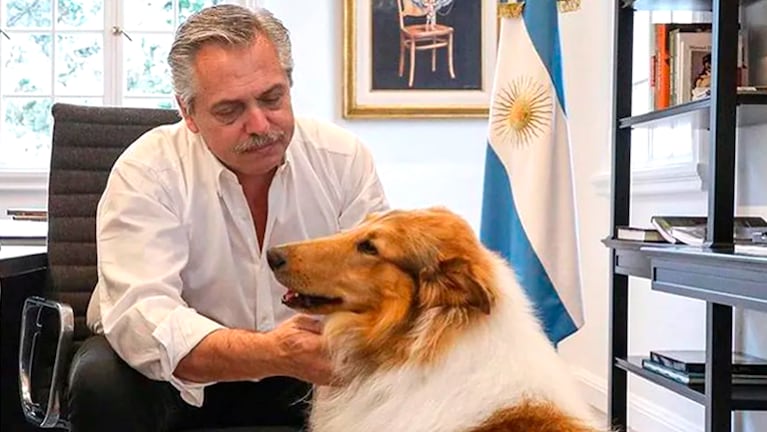 Alberto Fernández junto a su perro Dylan. 