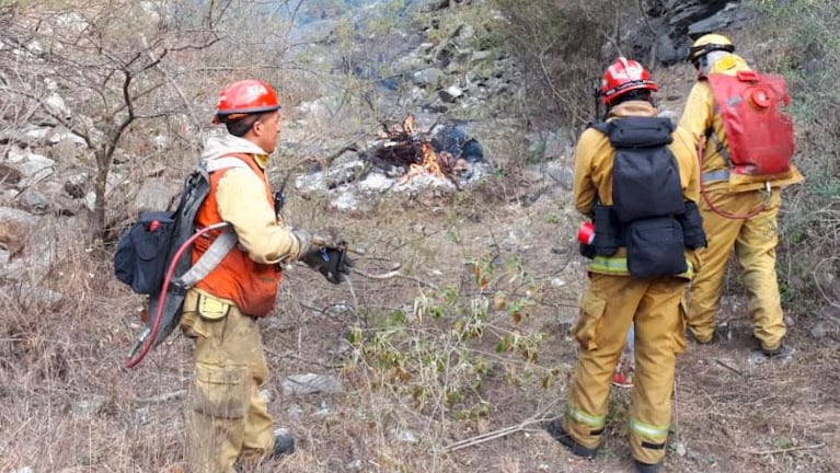 Alerta en La Calera: detectan focos de rabia transmitidos por vampiros 