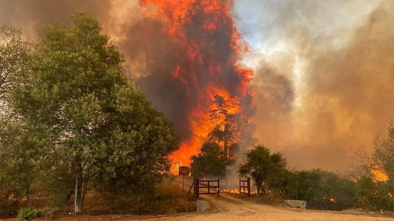 Alerta máxima en Chile por varios incendios en simultáneo.