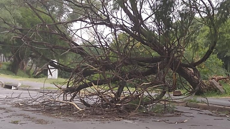 Alerta meteorológica por fuertes vientos para el centro de Córdoba