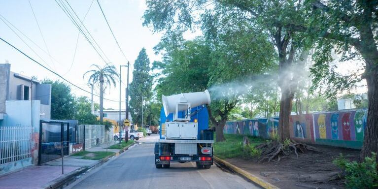 Alerta por el regreso de los mosquitos a Córdoba por el calor y las lluvias.