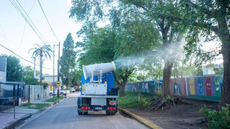 Alerta por el regreso de los mosquitos a Córdoba por el calor y las lluvias.