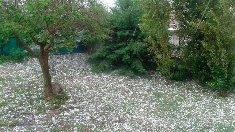 Alertaron por tormentas con caída de granizo para Córdoba