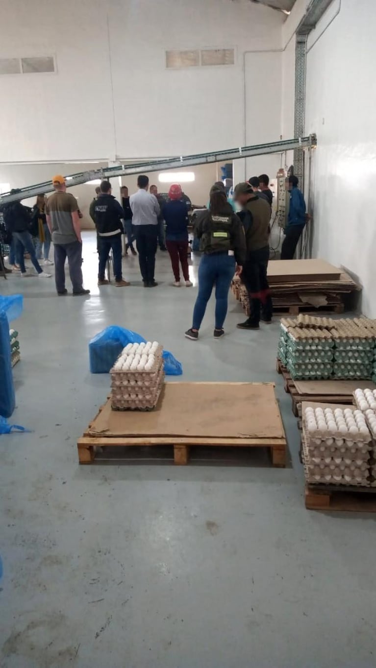 Allanaron una avícola de Córdoba por denuncias de explotación laboral