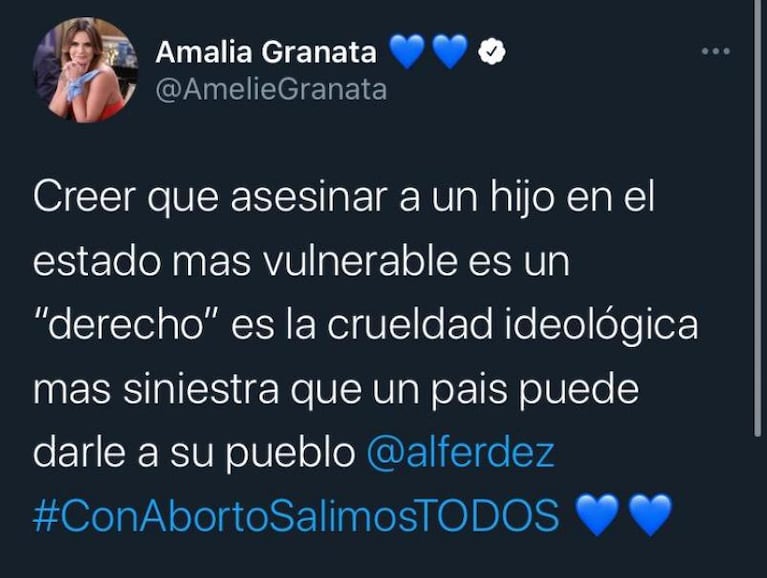 Amalia Granata: "Si no sos deseado, Alberto Fernández habilita que te maten"