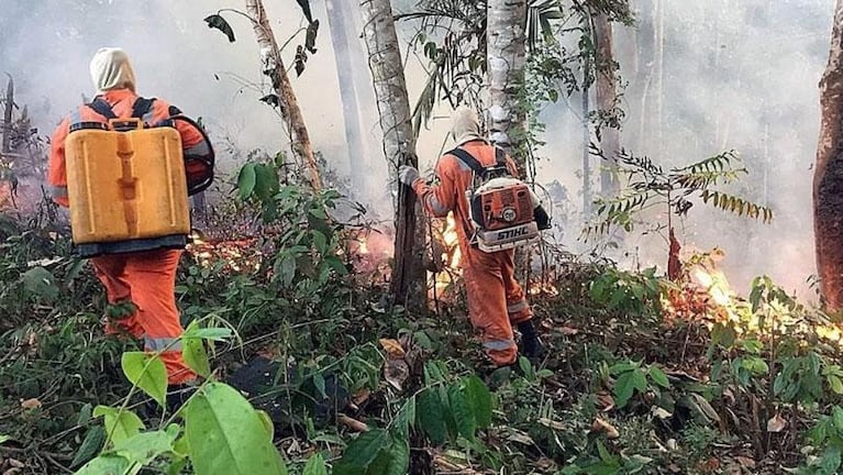 Amazonas en llamas: Macron acusa a Bolsonaro de mentir y se opone al acuerdo UE- Mercosur