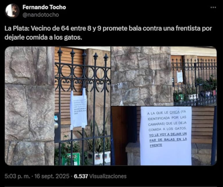 Amenazó de muerte a una joven por alimentar gatos callejeros y causó temor: “Balas en la frente”