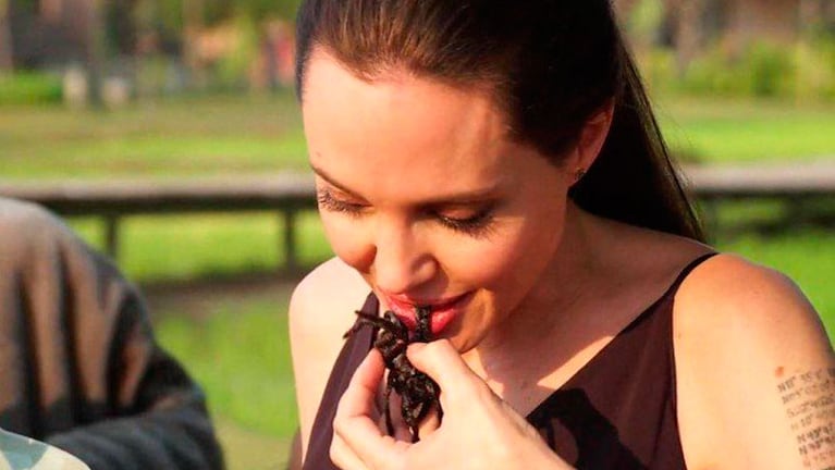Angelina probó por primera vez los insectos mientras filmaba una película.