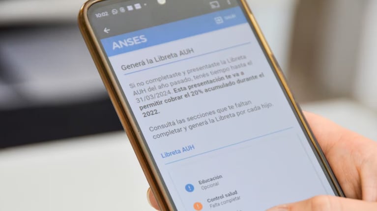 anses auh