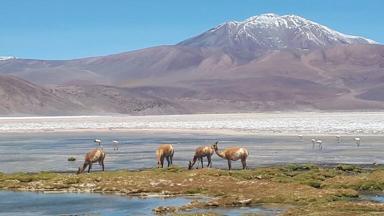 Antes del coronavirus, Catamarca estaba creciendo como polo turístico. Foto: Horacio Suárez.