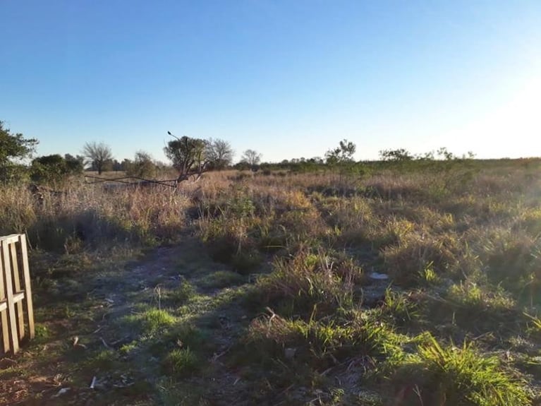 Apareció muerto y apuñalado el nene desaparecido en Santa Fe