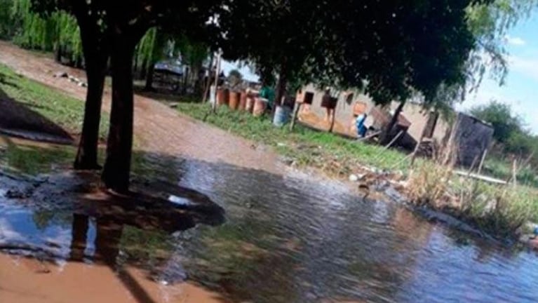 Apareció una víbora en su casa que se inundó por la lluvia del sábado