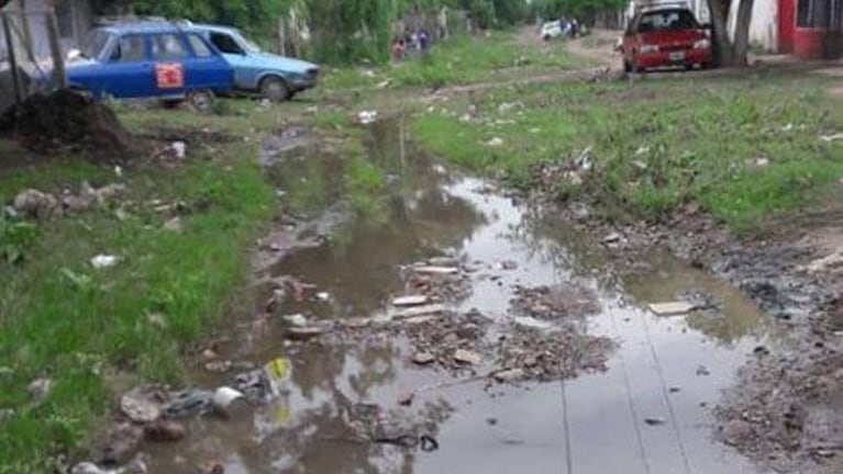 Apareció una víbora en su casa que se inundó por la lluvia del sábado